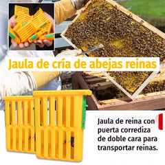 🐝【20 piezas】Jaula de cría de abejas reinas.🐝Jaula de reina con puerta corrediza de doble cara para transportar reinas.