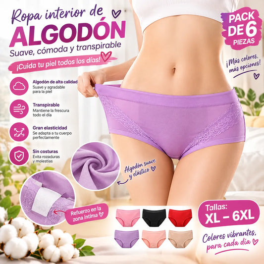 【6 piezas】【XL-4XL】Braguitas antibacterianas de cintura alta para control de abdomen 【45-110kg】