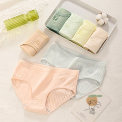 💞Último día con 50 % de descuento: bragas antibacterianas impermeables de cintura alta