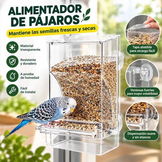 Comedero Automático para Pájaros