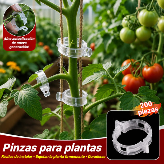 【🔥200 piezas】Clip de fijación para el crecimiento de plantas de plántula