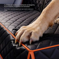 🚗 Asiento plegable para perros para el coche: impermeable, seguro y cómodo para mascotas 🐶