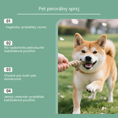 🐱🐶Ústny sprej pre domáce zvieratá na osvieženie dychu vášho domáceho maznáčika.