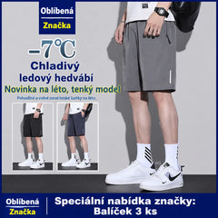 👖😎【Sada 3 kusů】【M-8XL】Pánské rychleschnoucí elastické kraťasy