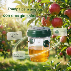 🔥Nueva oferta imperdible❤️‍🔥Trampa solar colgante para avispas