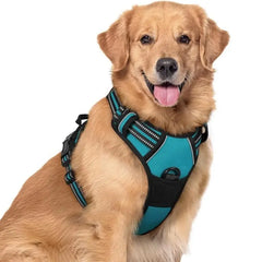 🦮Correa antitirones para perros