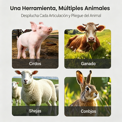 🧰【Pack de 5 piezas】Discos depiladores para cerdos que ahorran esfuerzo - ✅ Sin pérdida de carne ⚡️ Eliminan rápidamente el pelo de cerdos, vacas, ovejas y otros ganados