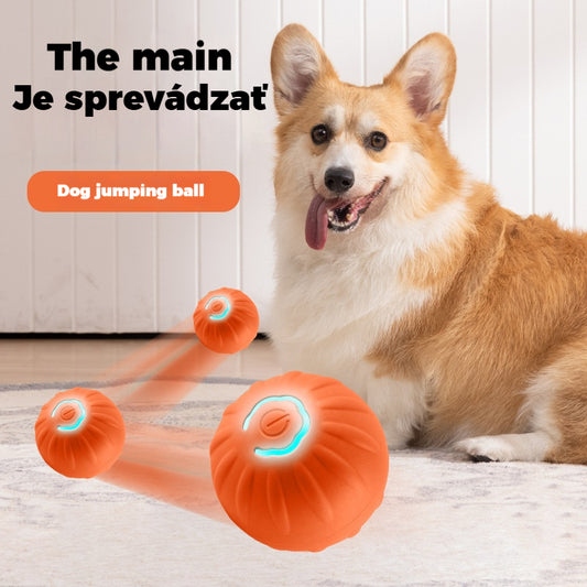 🐶🎁Intelektuálna interaktívna skákacia loptička pre domáce zvieratá