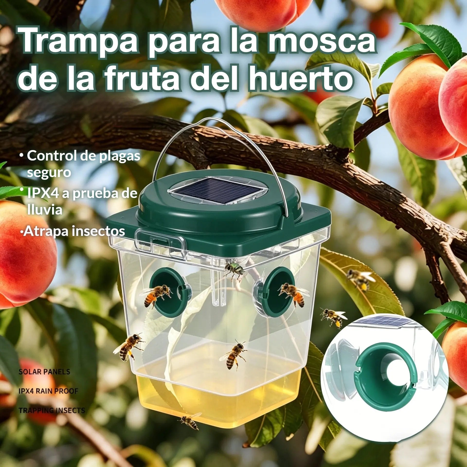 🐝☀️ Trampa solar para avispas para la terraza y el jardín 🔋🌿 - eficaz, recargable y resistente a la intemperie - sin productos químicos, hasta 500 m² - ¡ahorra ahora!