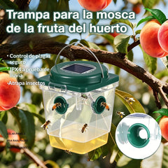 🐝☀️ Trampa solar para avispas para la terraza y el jardín 🔋🌿 - eficaz, recargable y resistente a la intemperie - sin productos químicos, hasta 500 m² - ¡ahorra ahora!