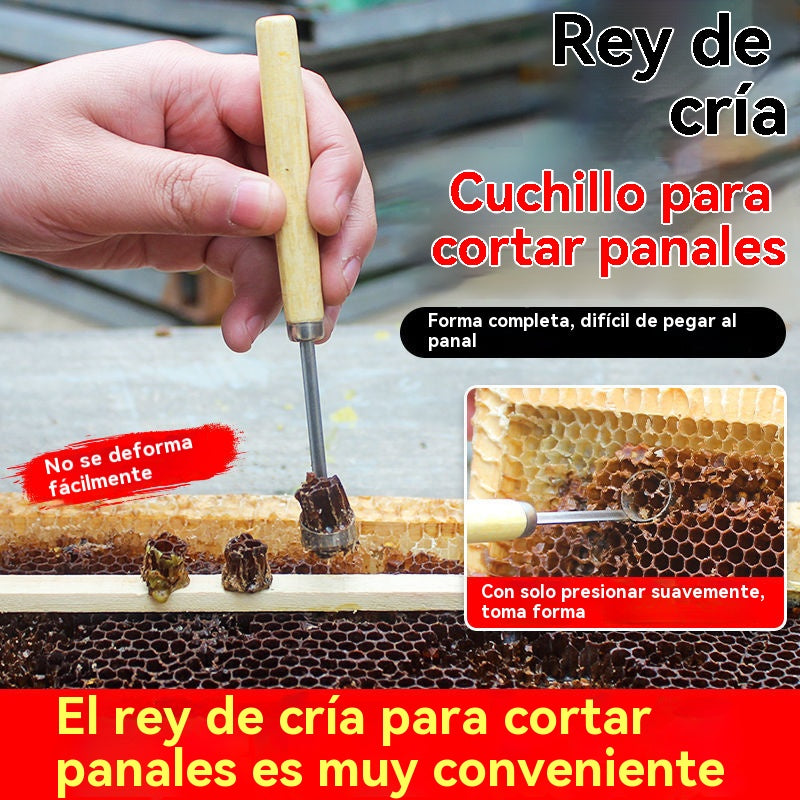 【Compra 1, llévate 1 gratis-2 piezas 22 euros】🔥Nueva herramienta para la cría de reinas: Corte completo sin dañar las larvas.