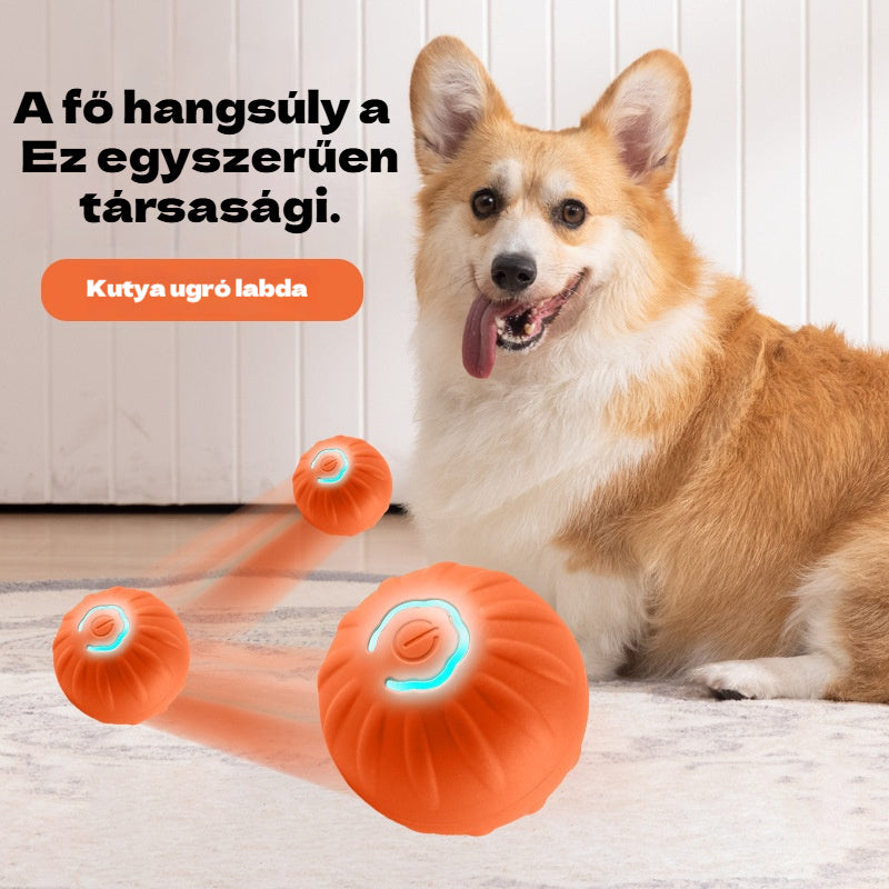 🐶🎁Intelligens interaktív ugráló kisállatlabda
