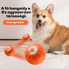 🐶🎁Intelligens interaktív ugráló kisállatlabda