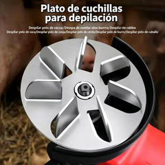 🧰【Pack de 5 piezas】Discos depiladores para cerdos que ahorran esfuerzo - ✅ Sin pérdida de carne ⚡️ Eliminan rápidamente el pelo de cerdos, vacas, ovejas y otros ganados