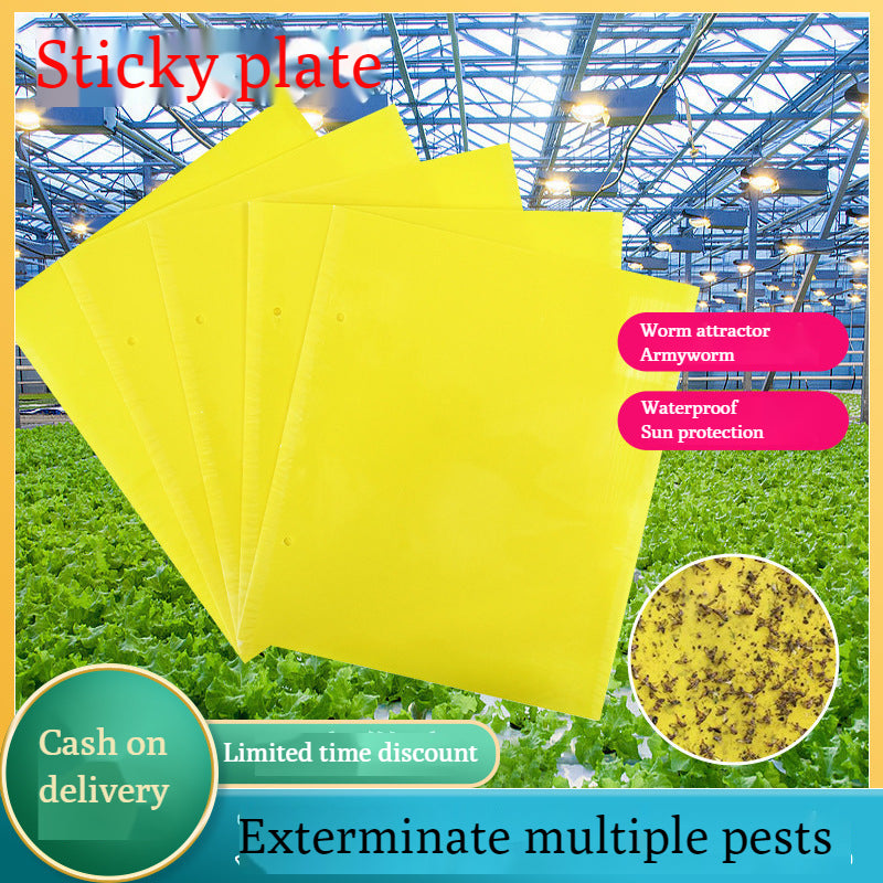 🔥🔥【50% de descuento】30 piezas 23 euros【Oferta por tiempo limitado】💥Tablero adhesivo de insectos de doble cara amarillo