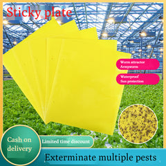 🔥【30 pcs】【Oferta por tiempo limitado】💥Tablero adhesivo de insectos de doble cara amarillo