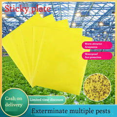 💥【30 piezas】Tablero adhesivo de insectos de doble cara amarillo