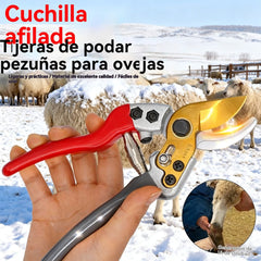 （2º artículo sólo 3€）Pezuñas de oveja, pezuñas de vaca, tijeras para pezuñas de caballo