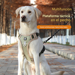 🐕🚶‍♂️Correa ajustable | Mayor comodidad al caminar