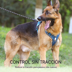 🐶🔥 ¡50% OFF POR TIEMPO LIMITADO! Arnés Antitirones con Correa y Collar ✨ Máximo Control y Seguridad en Cada Paseo 🌙