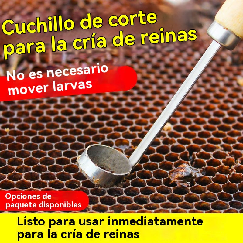 【Compra 1, llévate 1 gratis-2 piezas 22 euros】🔥Nueva herramienta para la cría de reinas: Corte completo sin dañar las larvas.