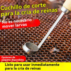 【Compra 1, llévate 1 gratis-2 piezas 22 euros】🔥Nueva herramienta para la cría de reinas: Corte completo sin dañar las larvas.