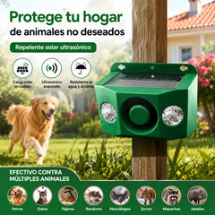🔥【30% OFF】🐅Repelente ultrasónico de animales salvajes alimentado por energía solar