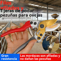 🐏🐂🐴💥Pezuñas de oveja, pezuñas de vaca, tijeras para pezuñas de caballo