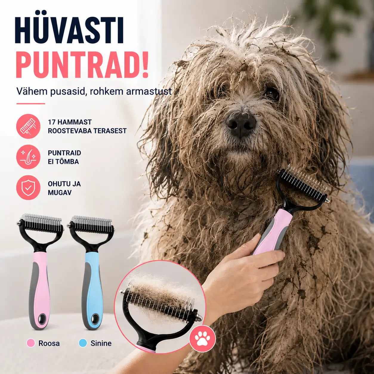 🐶【Osta 1, saa 1 tasuta, 2 tükki】Kahepoolne hari lemmikloomade hooldamiseks ja karvade eemaldamiseks