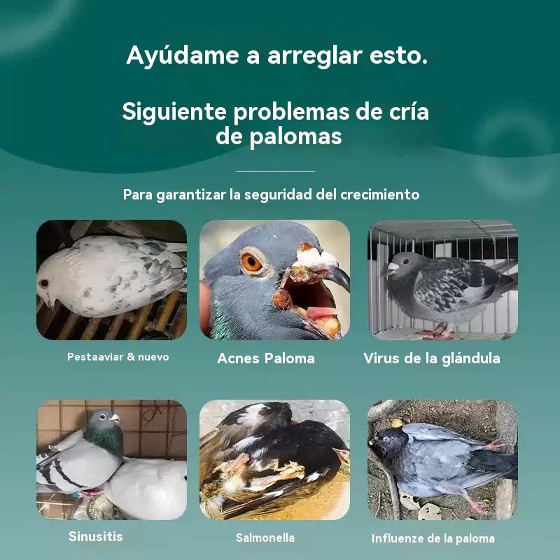 🕊️【Compra 1 y llévate 1 gratis】100 comprimidos, medicamento especial para palomas mensajeras, tratamiento 6 en 1 para palomas: ¡curación rápida, resultados significativos!