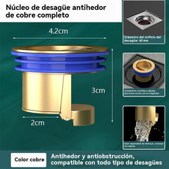 🔥¡Compra 1 y llévate 1 GRATIS!（2 piezas）🔥 Desagüe universal de latón para suelo con núcleo desodorizante antiolor 🚿✨