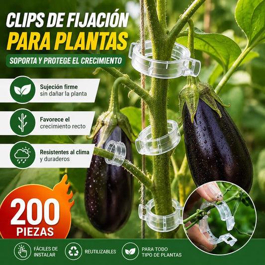 【🔥200 piezas】Clip de fijación para el crecimiento de plantas de plántula