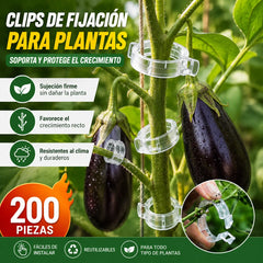 【🔥200 piezas】Clip de fijación para el crecimiento de plantas de plántula