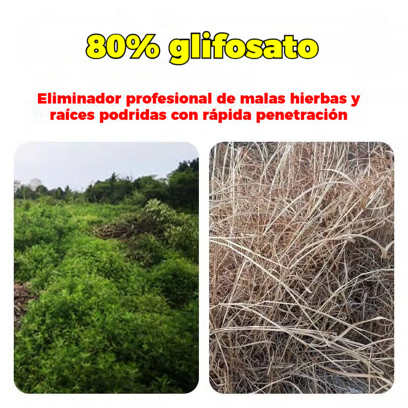 【5 bolsa】🔥 Herbicida 2 en 1 Alta Eficacia | Actúa en 6 Horas Elimina Malas Hierbas Resistentes al Glifosato