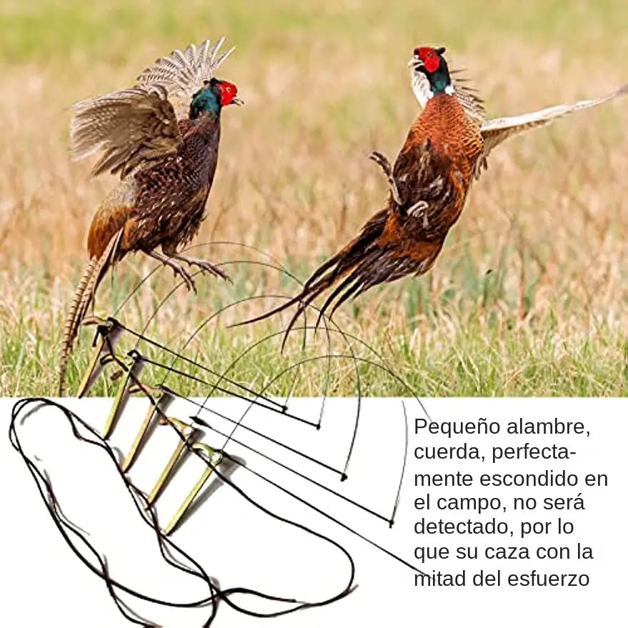 🦆🐓【5 piezas】Trampa para pájaros de tamaño mediano, adecuada para pollos, faisanes, ánades reales, perdices y patos.