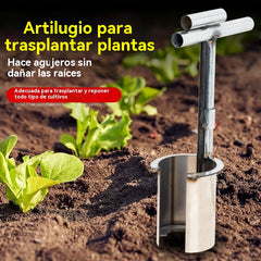 🌳🌳 Trasplantadora de plántulas agrícolas