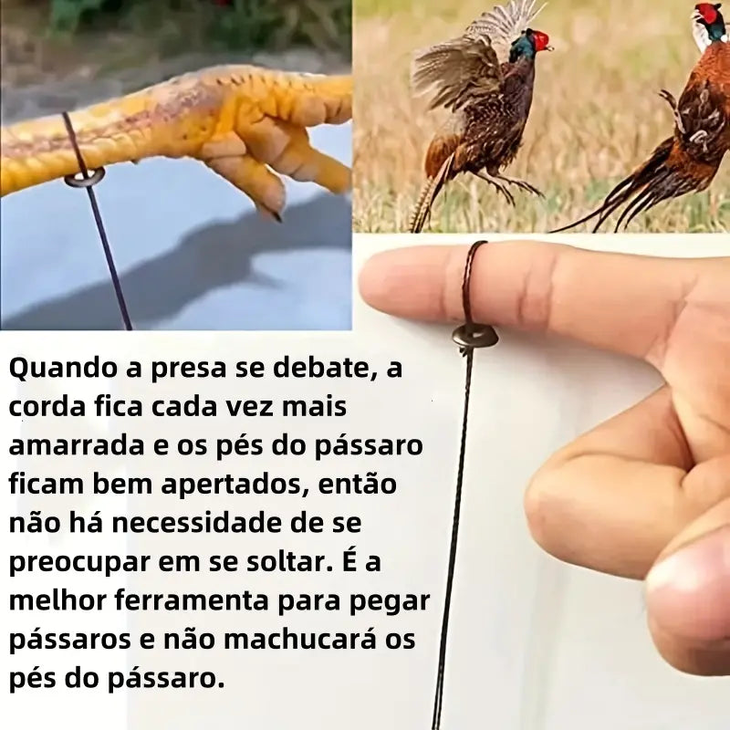 🦆🐓【5 piezas】Trampa para pájaros de tamaño mediano, adecuada para pollos, faisanes, ánades reales, perdices y patos.