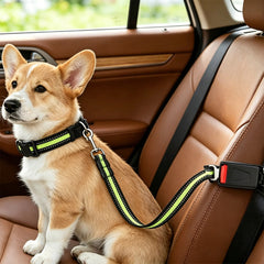 [2 juegos 24 euros] Collar y correa para perro (2 en 1)