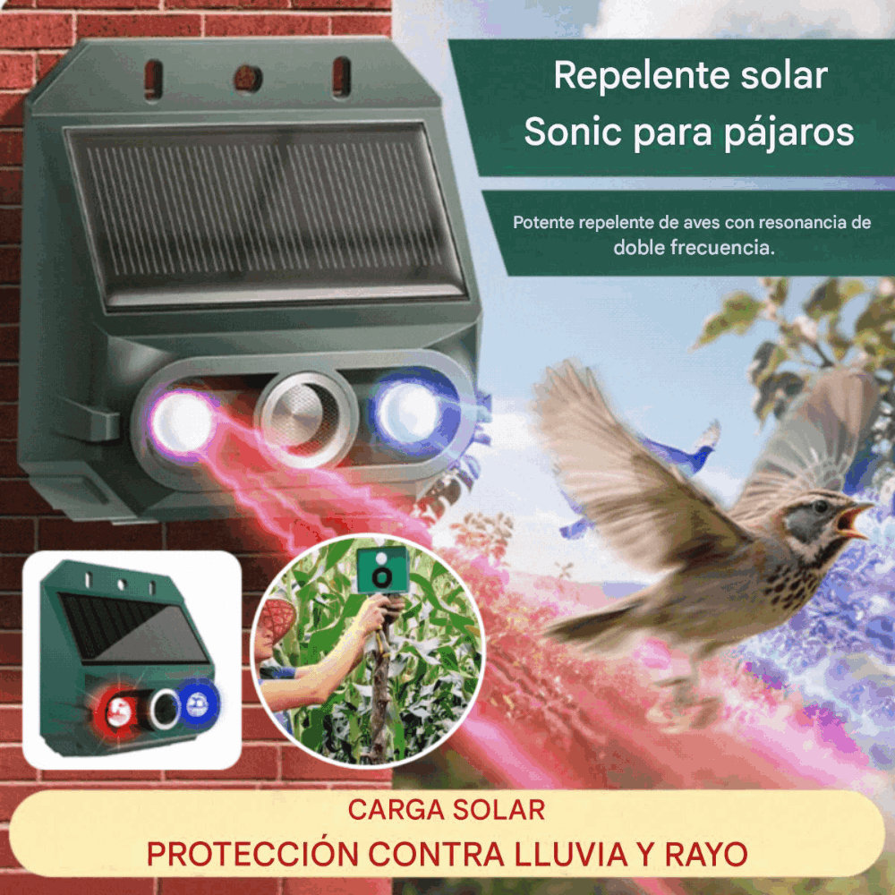 🐻🐦【Oferta especial】🔥Repelente ultrasónico solar para animales de exterior: puede ahuyentar pájaros y animales.