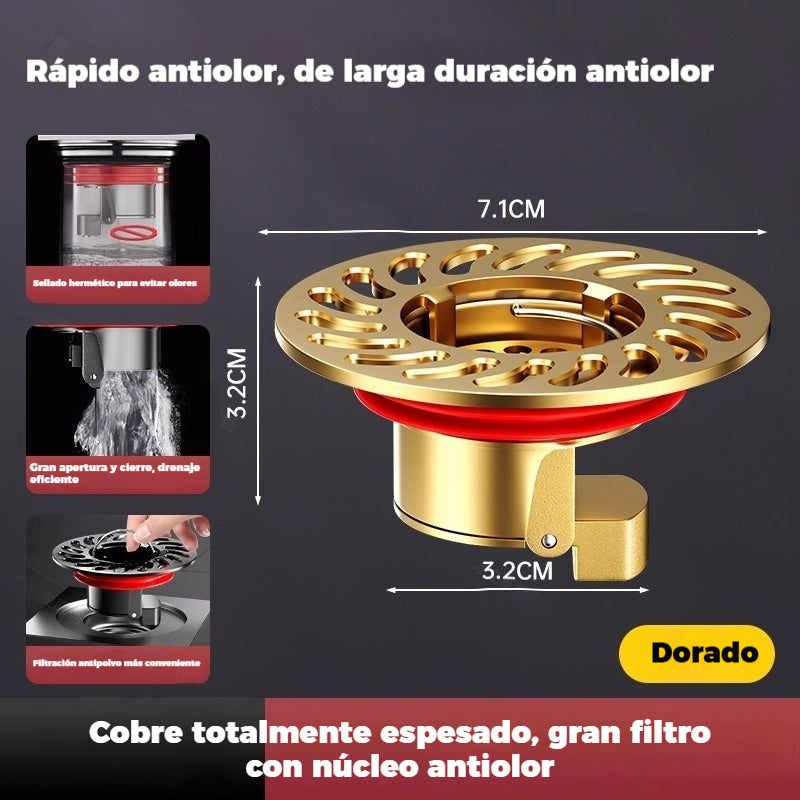 🔥¡Compra 1 y llévate 1 GRATIS!（2 piezas）🔥 Desagüe universal de latón para suelo con núcleo desodorizante antiolor 🚿✨