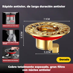 🔥¡Compra 1 y llévate 1 GRATIS!（2 piezas）🔥 Desagüe universal de latón para suelo con núcleo desodorizante antiolor 🚿✨