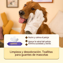 🐶20 piezas 🧤 Toallitas Guante Desodorantes para Mascotas – Limpieza Rápida sin Agua, Suavidad y Frescura Instantánea ✨