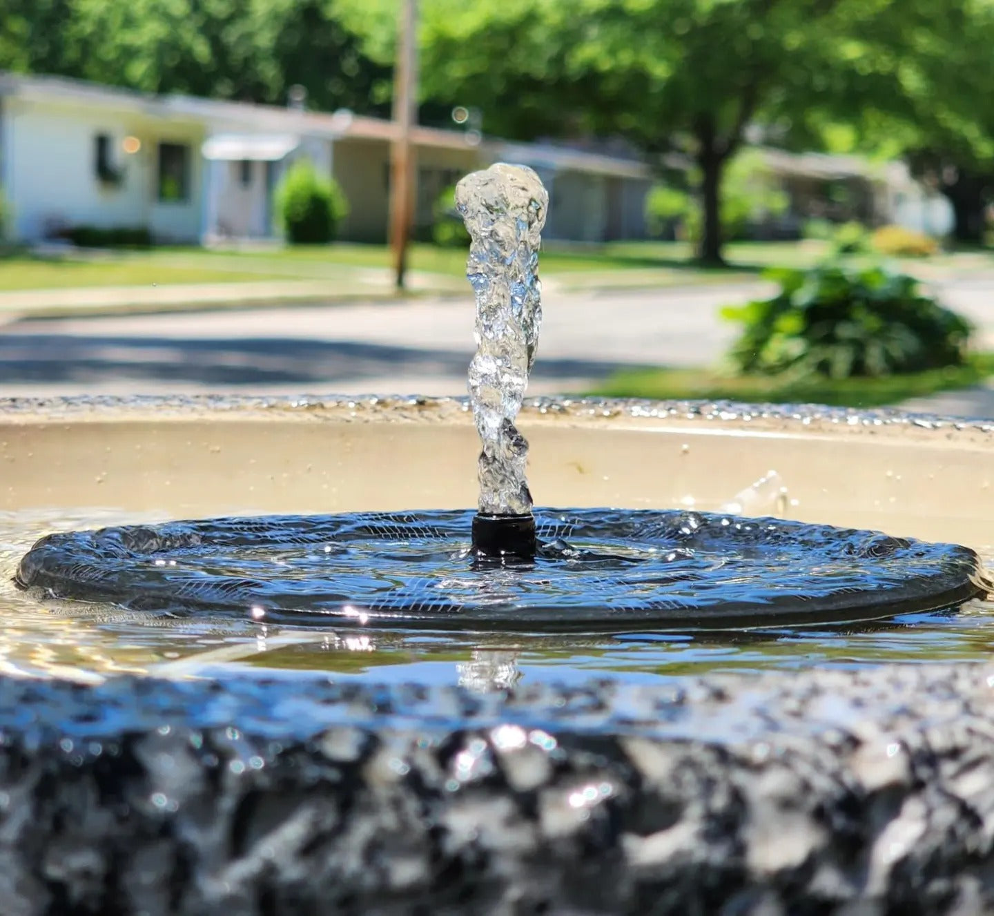 💥50%OFF💥Fuente de agua alimentada por energía solar