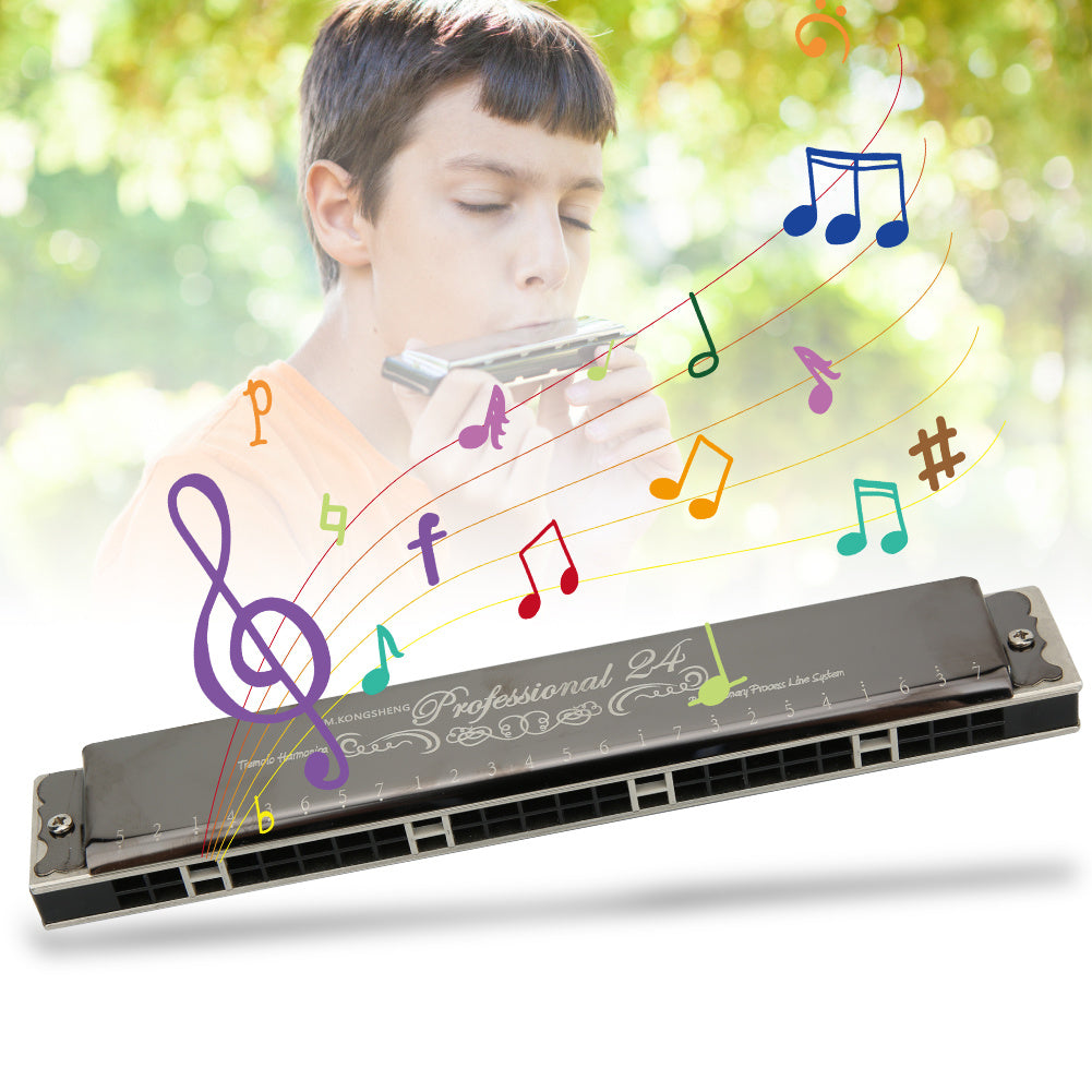 🔥🎶🎼 Armónica profesional de 24 agujeros en do mayor con estuche【🎁El regalo perfecto para los amantes de la música】