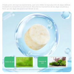 【Compra 1 y llévate 1 gratis】Eliminador de algas y musgo para acuarios, elimina algas verdes y marrones, y elimina algas negras y verdes de estanques de peces.