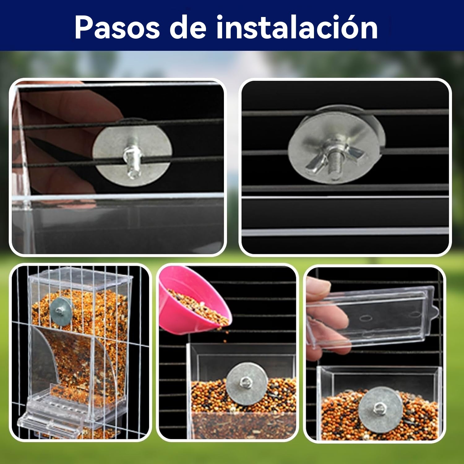 🐦🔥Comedero automático para pájaros sin derrames