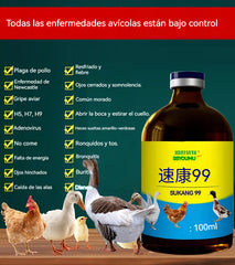 【Compra 1 y llévate 1 gratis】💊🐓🦆🕊️ Medicamento para el tratamiento de la influenza aviar, la pérdida de apetito, la diarrea y la tos en aves de corral, pollos, patos y gansos. 1 frasco de 100 ml.