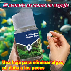 🔥Compra 2 y llévate 2 gratis (4 botellas-400 piezas)🐠🌿 Pastillas purificadoras de agua para acuario