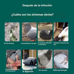 🕊️【Compra 1 y llévate 1 gratis】100 comprimidos, medicamento especial para palomas mensajeras, tratamiento 6 en 1 para palomas: ¡curación rápida, resultados significativos!