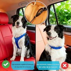 🔥Compre 1 y obtenga 1 gratis（2 piezas）🐾 Correa ajustable para perros para coche